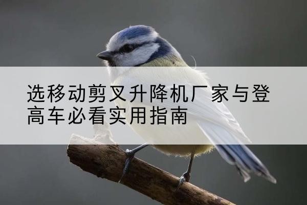 铁力电动升降机厂家-选移动剪叉升降机厂家与登高车必看实用指南