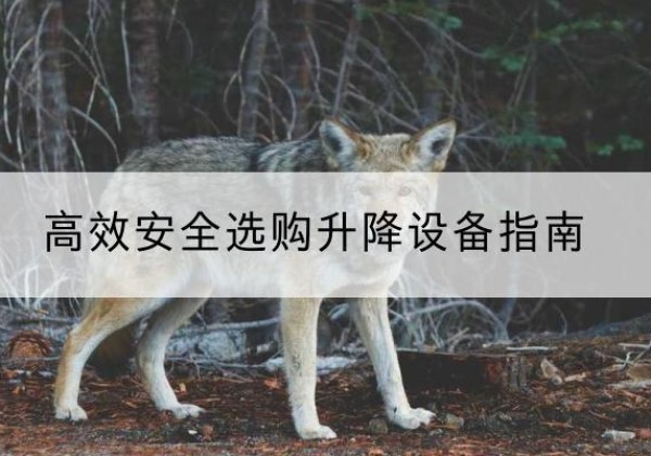 铁力升降货梯厂家推荐-*安全选购升降设备指南